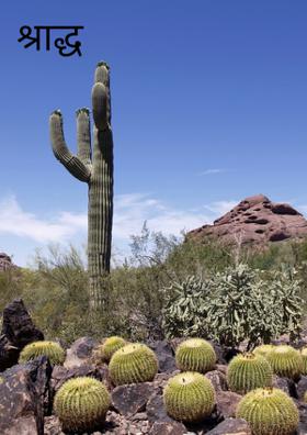 श्राद्ध