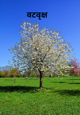 वटवृक्ष