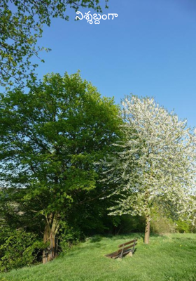 నిశ్శబ్దంగా 