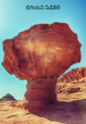 బిగియని పిడికిలి