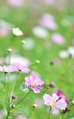 திருமந்திரம்