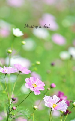 Missing You Dad
