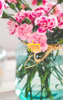 पर्यावरण