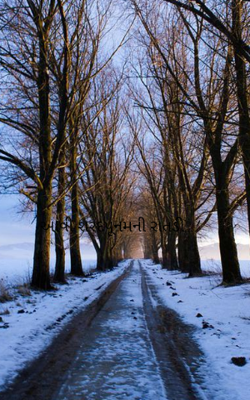 આવી શરદપૂનમની રાતડી