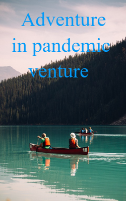 Adventure In Pandemic Venture