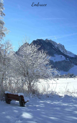 Embrace 