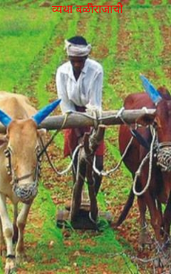 व्यथा बळीराजाची