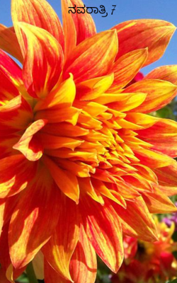 ನವರಾತ್ರಿ 7