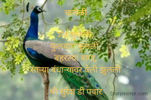 चारोळी

शेत फुलली,
फुलबाग फुलली,
बहरल्या बागा,
साऱ्या बंधाऱ्यावर वेली झुलली

श्री सुरेश डी पवार