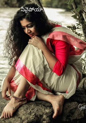 నీవైపోయా...