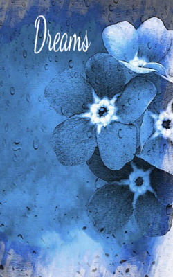 Dreams