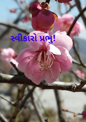 સ્વીકારો પ્રભુ !