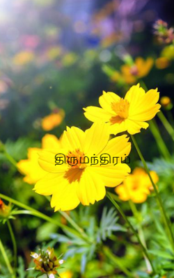 திருமந்திரம்