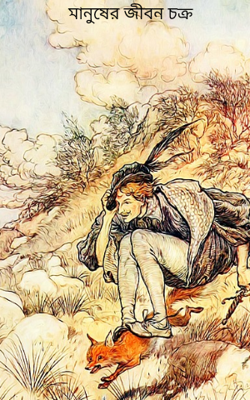 মানুষের জীবন চক্র