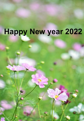 Happy New Year 2022