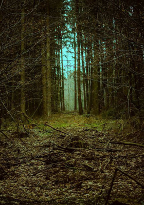 Philosophy of my life