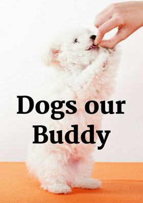 Dogs, Our Buddy