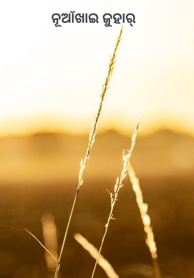 ନୂଆଁଖାଇ ଜୁହାର୍