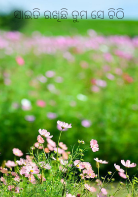 ସାଇତି ରଖିଛି ତୁମ ସେ ଚିଠି