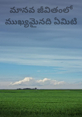 మానవ జీవితంలో ముఖ్యమైనది ఏమిటి