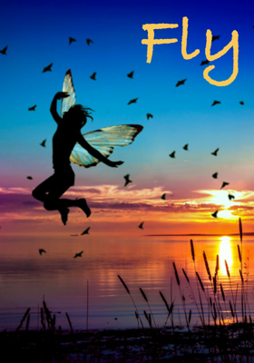 Fly
