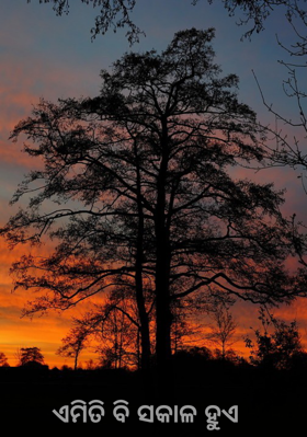 ଏମିତି ବି ସକାଳ ହୁଏ