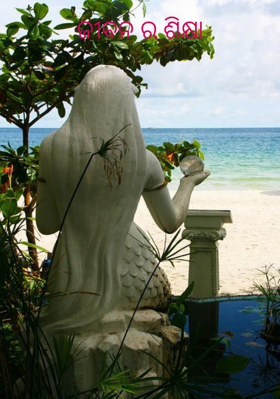 ଜୀବନର ଶିକ୍ଷା