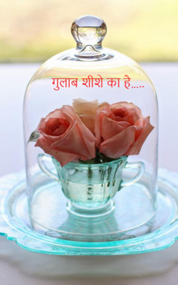                                                         गुलाब शीशे का है…..