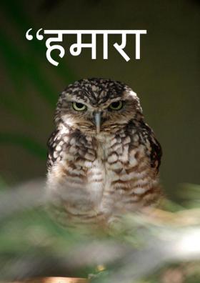 “हमारा हाल”