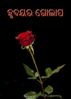 ହୃଦୟର ଗୋଲାପ