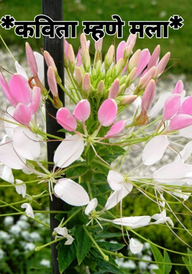 *कविता म्हणे मला*