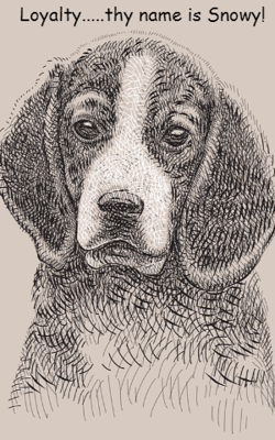 Loyalty.....thy name is Snowy!