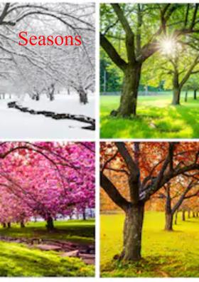 Seasons