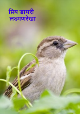 प्रिय डायरी  लक्ष्मणरेखा