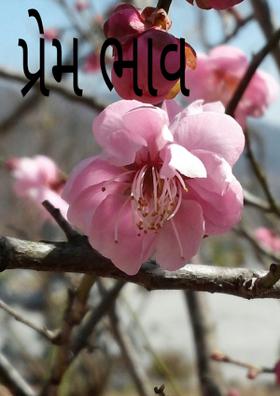પ્રેમ ભાવ