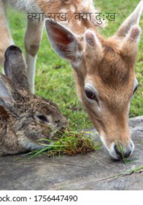 क्या सुख, क्या दुःख