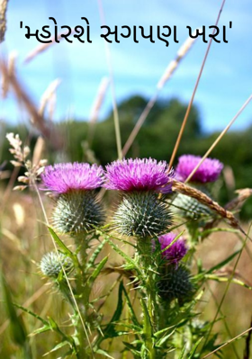 મ્હોરશે સગપણ ખરા