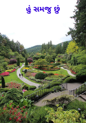 હું સમજુ છું