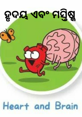 ହୃଦୟ ଏବଂ ମସ୍ତିଷ୍କ
