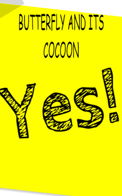 Butterfly And Its Cocoon