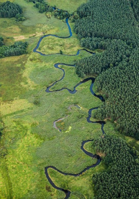 ବସନ୍ତ ରାଜା