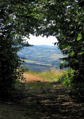 प्रकृति