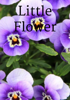 Little Flower