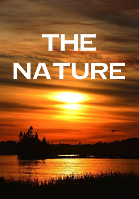 THE NATURE