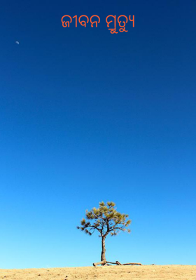 ଜୀବନ ମୃତ୍ୟୁ