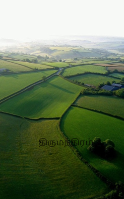 திருமந்திரம்