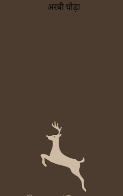 अरबी घोड़ा