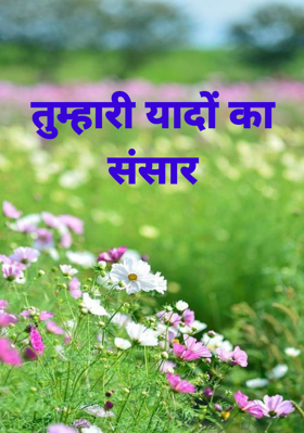 तुम्हारी यादों का संसार