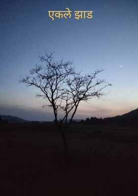 एकले झाड