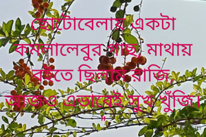 ছোটোবেলায় একটা কমলালেবুর গাছ, মাথায় বইতে ছিলাম রাজি,
আজও এভাবেই সুখ খুঁজি। "